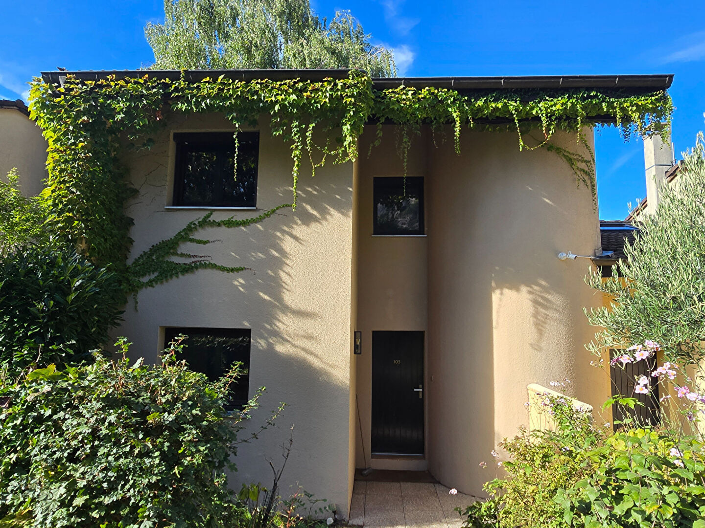 Property view 3
