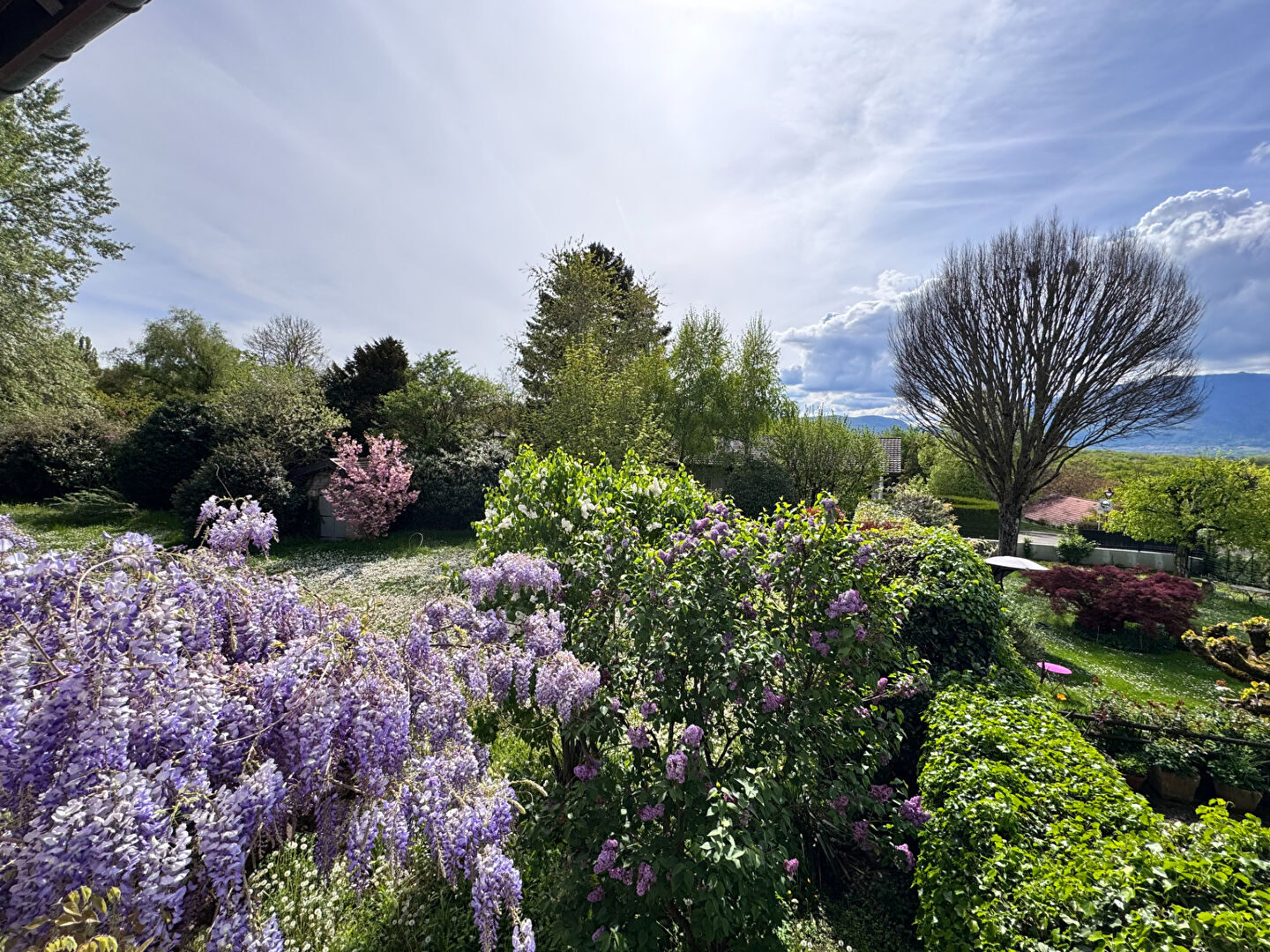 Property view 2